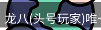 龙八官网